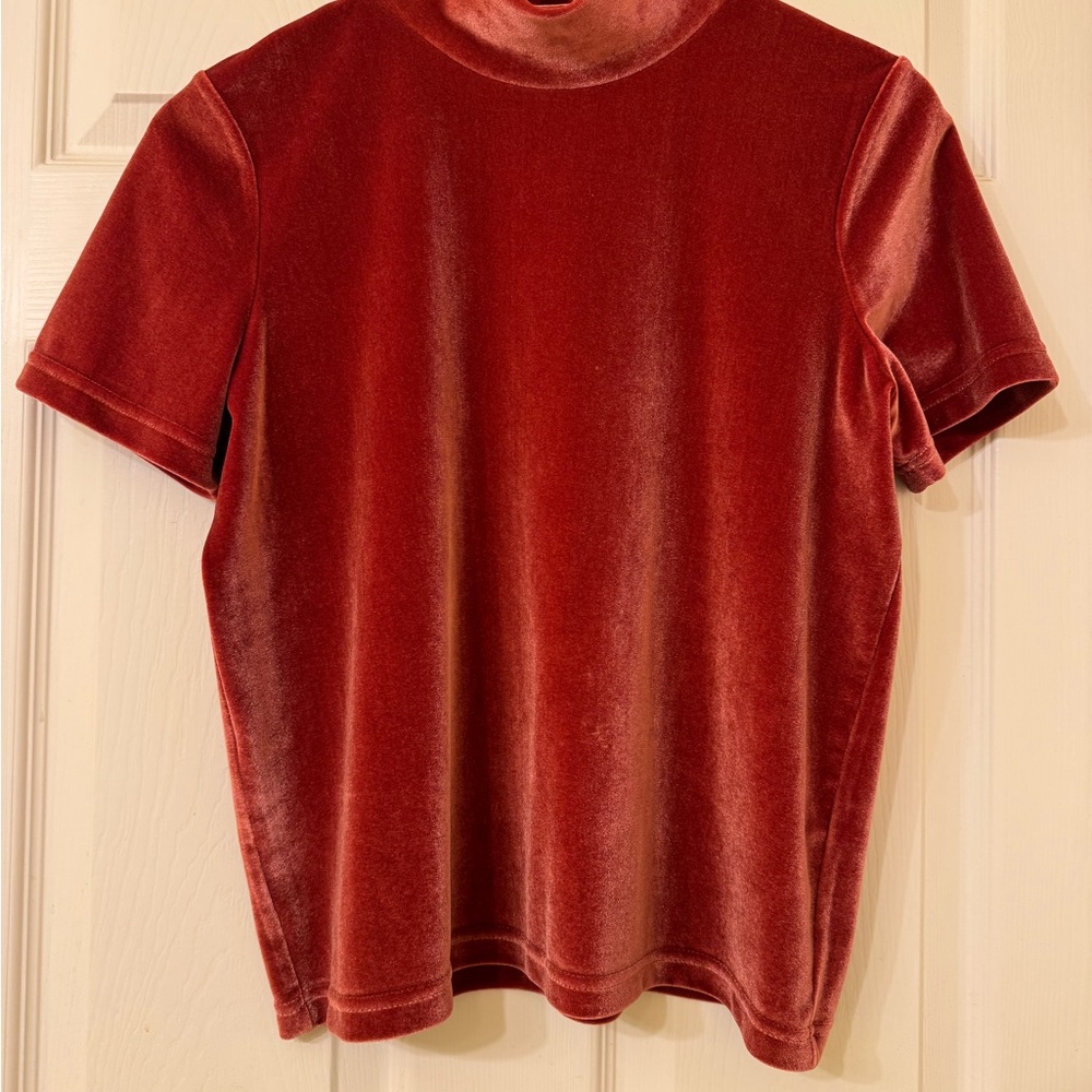 Madewell Velvet Short Sleeve Top in Rusty Red